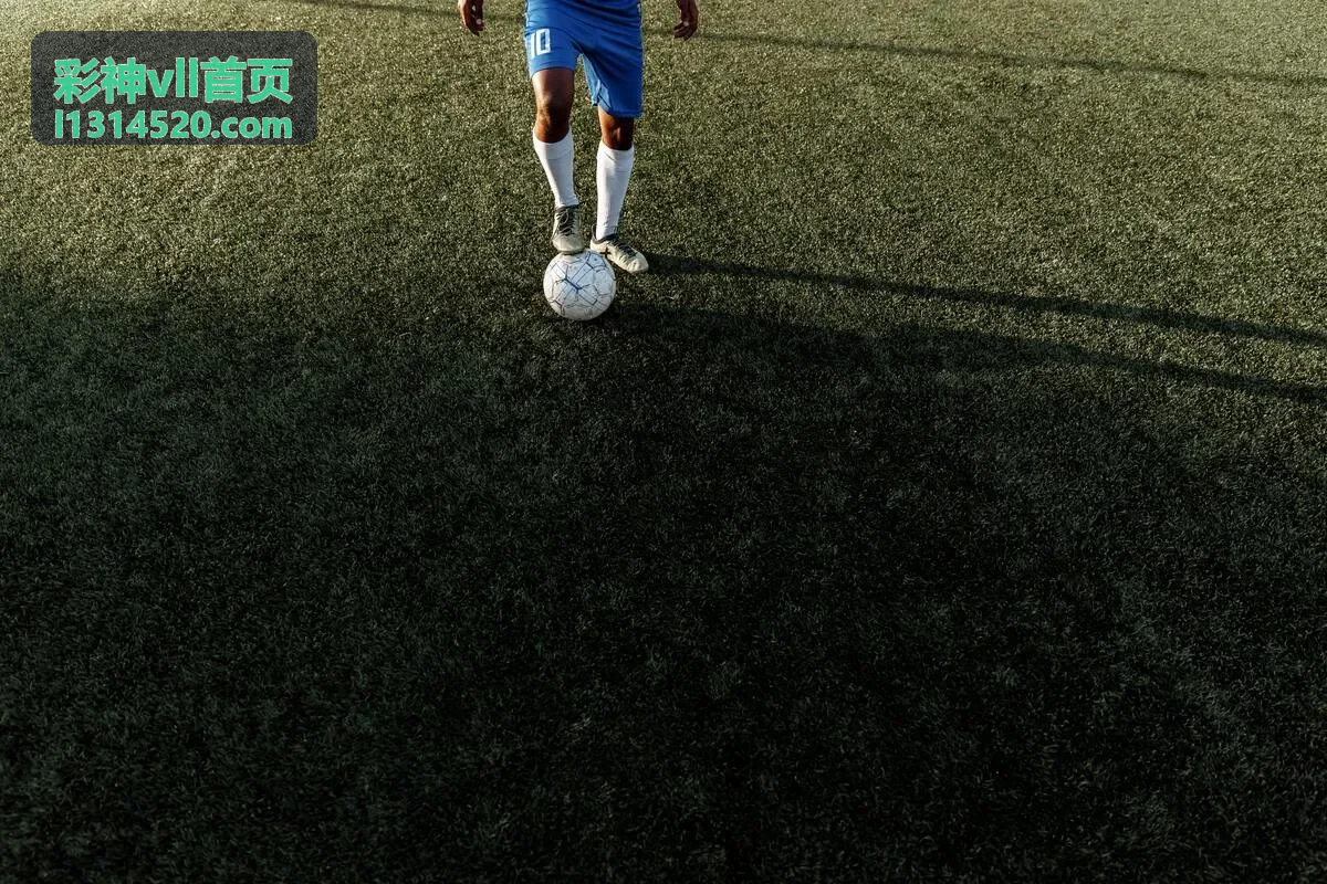 彩神vll首页内容预览图