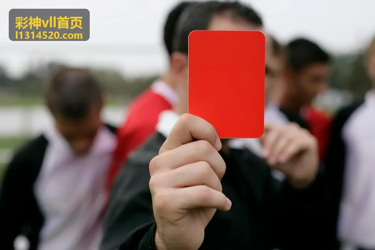 彩神vll首页深度阅读专栏封面